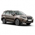 Защита картера Subaru Forester
